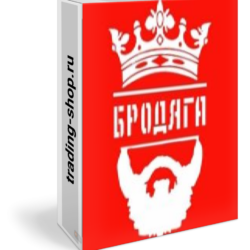 Торговый робот Бродяга 1 для МТ5