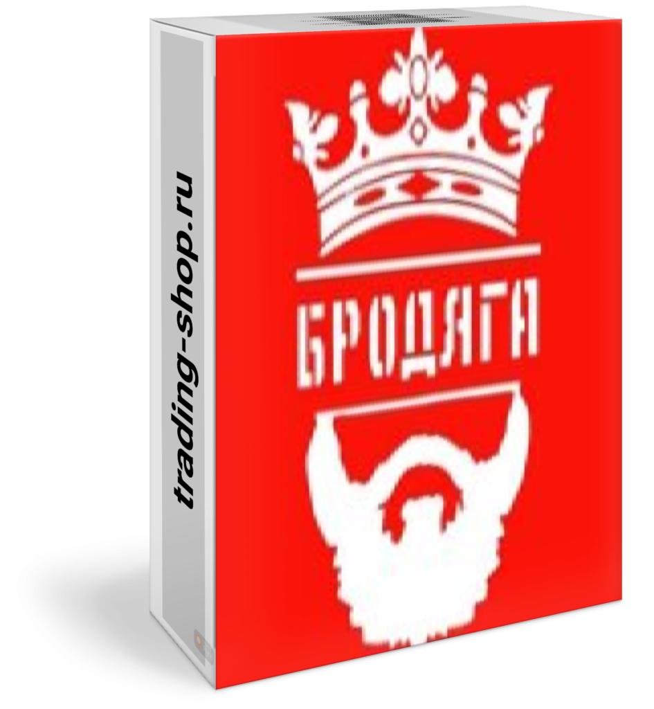 Торговый робот Бродяга 1 для МТ5