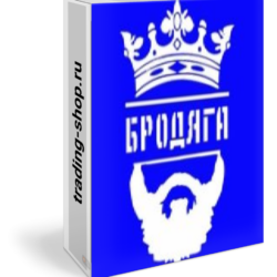 Торговый робот Бродяга 2 для МТ5