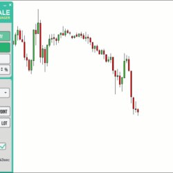 PLACE MARKET ORDER