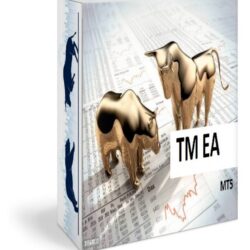Торговый робот TM EA для брокера Deriv МТ5